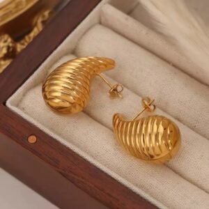 Nauraad Golden Shell Stud Earrings – Gold Plated, Anti-Tarnish & Waterproof